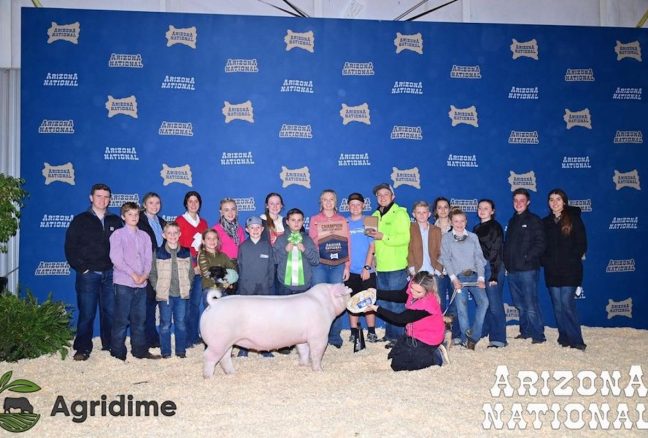Arizona National Livestock Show Champion Chester Gilt