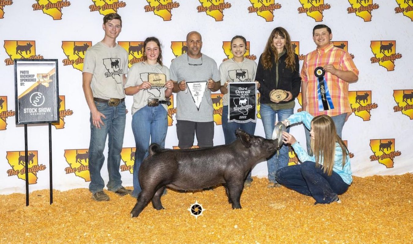 3rd Overall All Black, The Audible