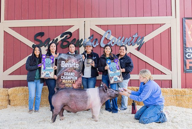 Grand Champion Market Hog, Champion FFA, San Benito County Fair