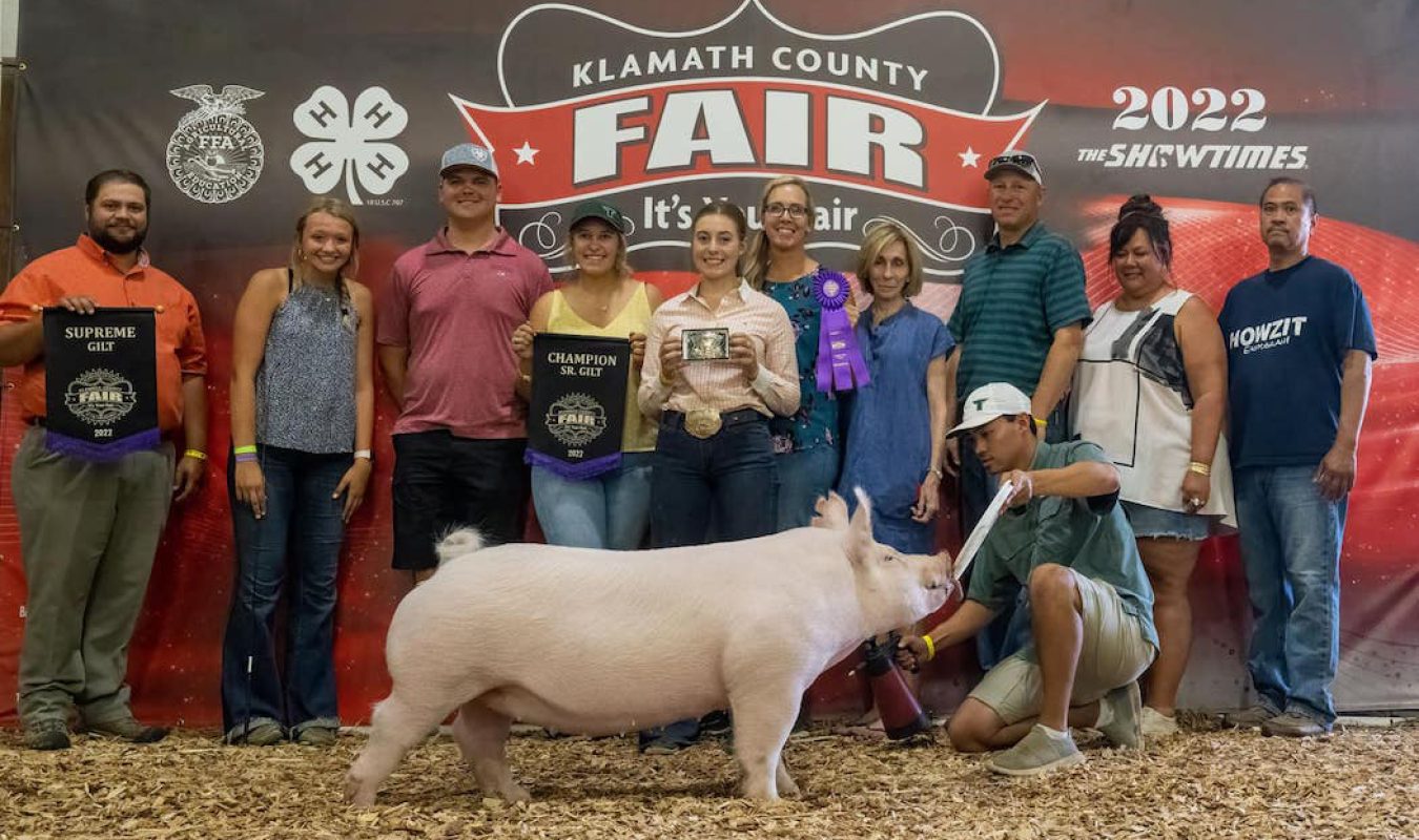 Grand Breeding Gilt Klamath County Fair