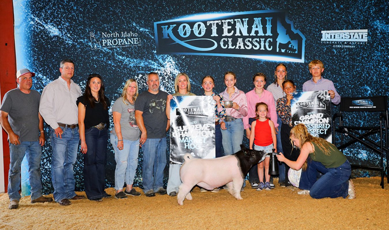 Supreme Market Hog - 2025 Kootenai Classic