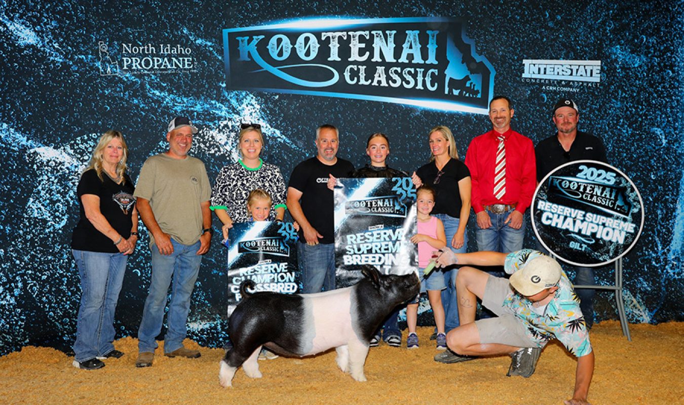 Reserve Grand Gilt- 2025 Kootenai Classic