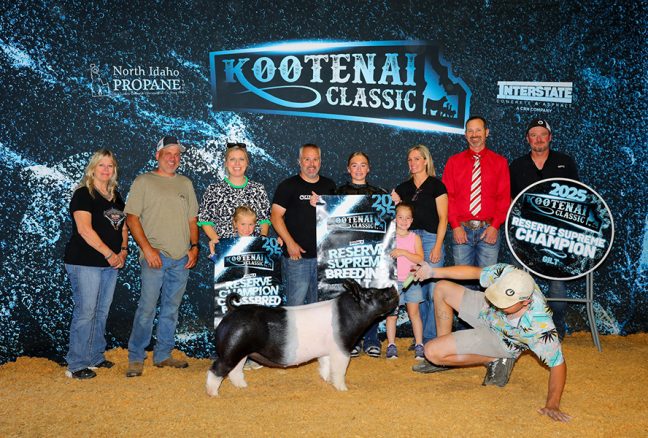 Reserve Grand Gilt- 2025 Kootenai Classic