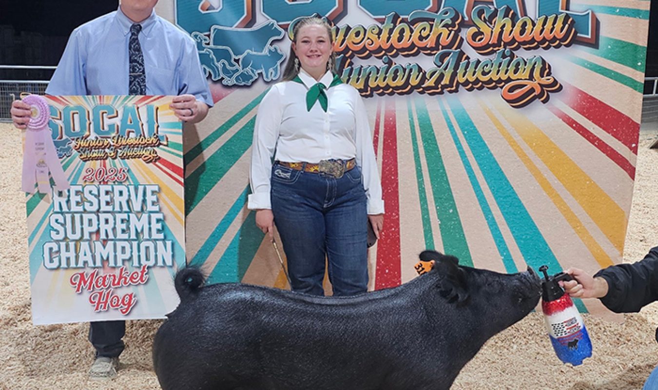 Reserve Grand Champion Market Hog, SO CAL Jr. Livestock Show