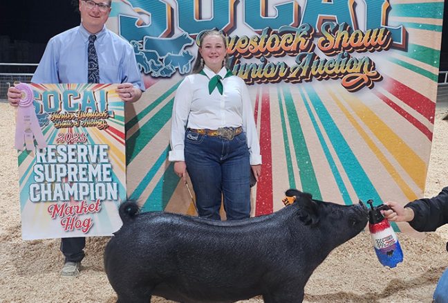 Reserve Grand Champion Market Hog, SO CAL Jr. Livestock Show