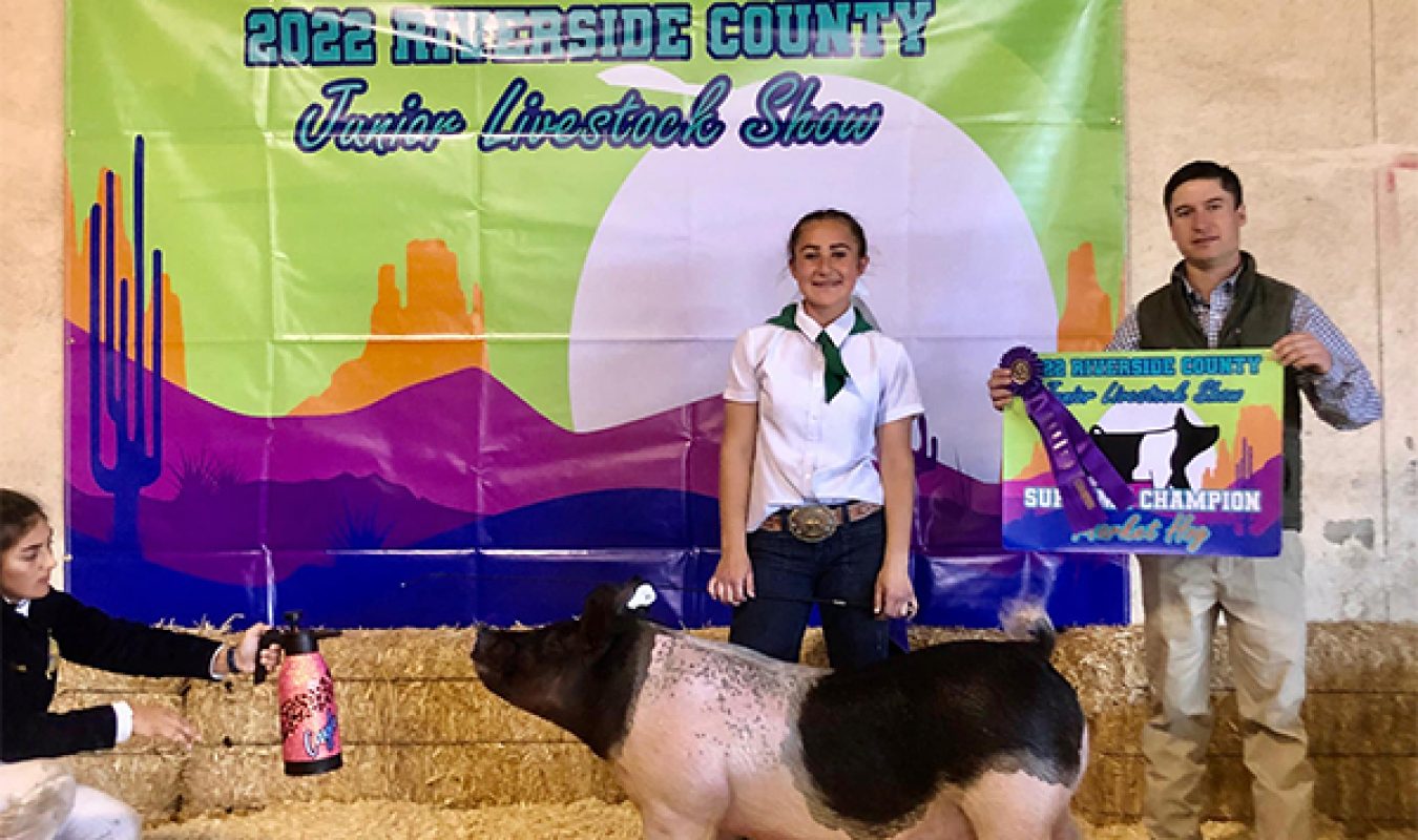 Grand Overall Market Riverside County Fair