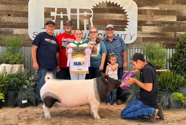 Reserve Grand Breeding Gilt Stanislaus County