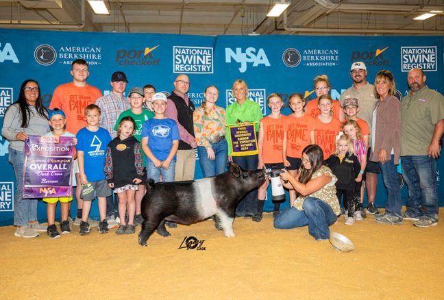3rd Overall Cross Barrow The Exposition 2024 Littermate to Toy Story