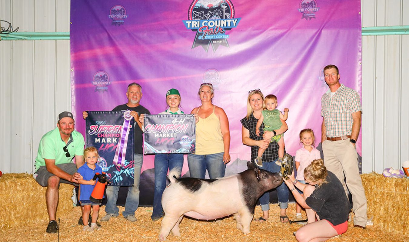Grand Champion Market Hog - 2025 Tri County
