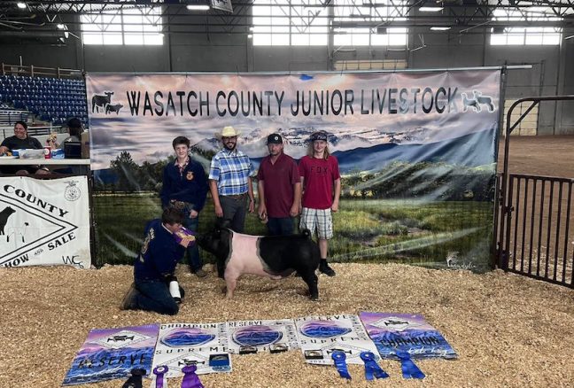 Reserve Grand Wasatch County Fair