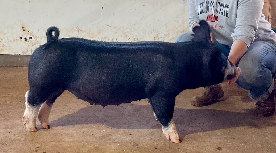 2-5 farrowed 7/15/25.